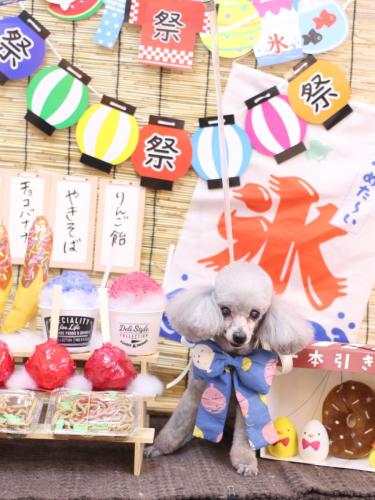 20240703サージュちゃん